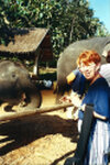 Im Elefantencamp