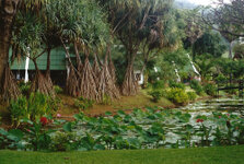Hotel Karon Villas