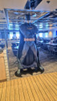 Die "Batman-Fähre"