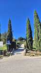Abschied von Monteriggioni