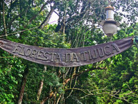 Rio de Janeiro - Im botanischen Garten