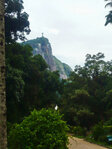Rio de Janeiro - Im botanischen Garten