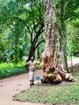 Rio de Janeiro - Im botanischen Garten