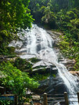 Rio de Janeiro - Im botanischen Garten