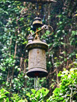 Rio de Janeiro - Im botanischen Garten