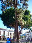In Teror