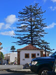 In Teror