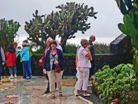 Plaza de las Manchas