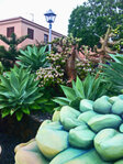 Plaza de las Manchas