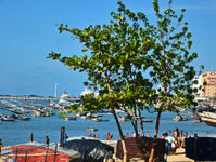 In Fortaleza