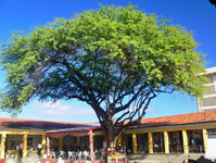 Centro Tourismo