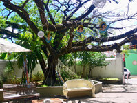 In Olinda