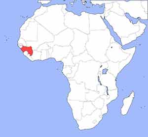 Lage Guinea Lage Guinea