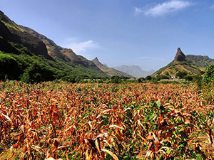 Landschaft auf Santiago