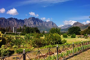 In der Gegend von Franschhoek/Provinz Westkap