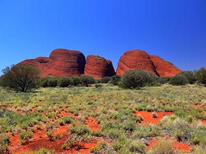 Kata Tjuta - Die Olgas