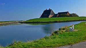 Auf der Hallig Hooge