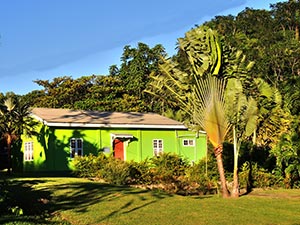 Am Botanischen Garten