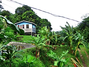 Unterwegs auf Grenada