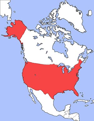 Lage USA Lage USA