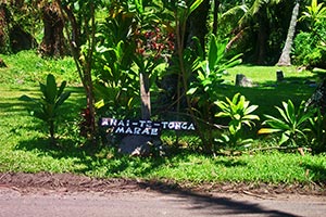 Auf Rarotonga Auf Rarotonga