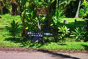 Auf Rarotonga