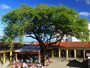 Natal Natal