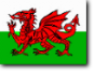 Flagge Wales Flagge Wales
